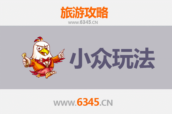潍坊诸城小众探秘：解锁恐龙之乡的隐世玩法